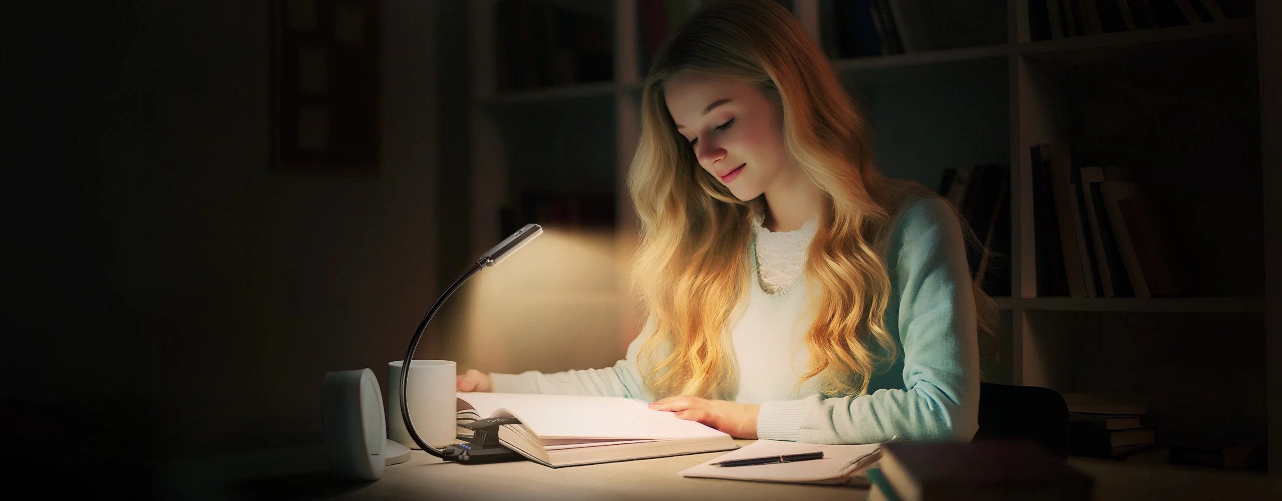 Book Lights & Reading Lights
