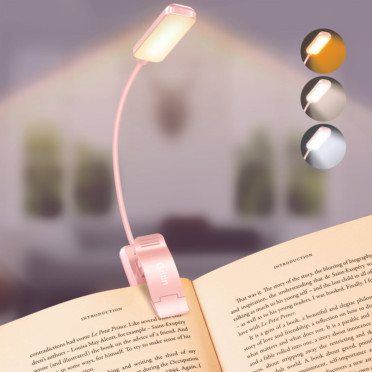 Lampe de lecture rechargeable Gritin à 9 LED pour lire au lit
